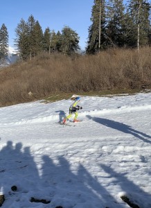 Colpi Aurora